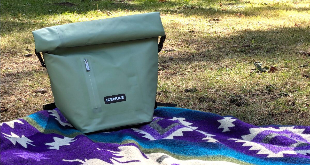 ¿Realmente necesitas la nevera mochila ultraportátil de ICEMULE?