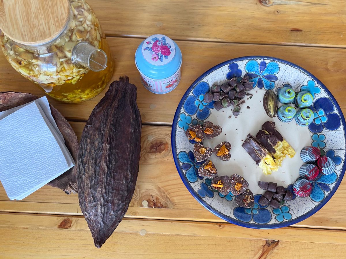A cacao pod lies next to a plate of tasty chocolate treats