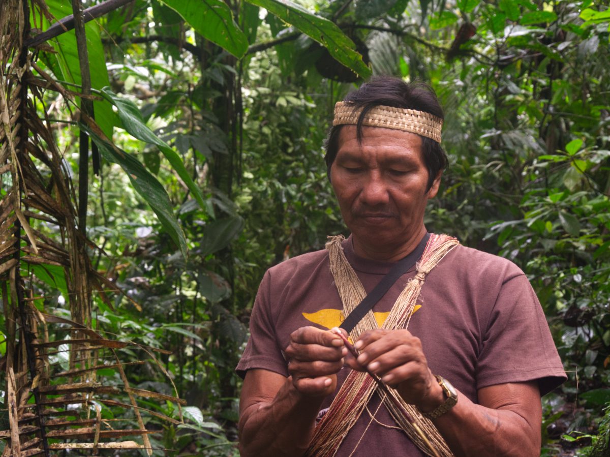 Bae, Nuestro Guía Waorani Bae, nuestro guía Waorani en la provincia ecuatoriana de Pastaza, nos muestra cómo utilizar una planta autóctona.