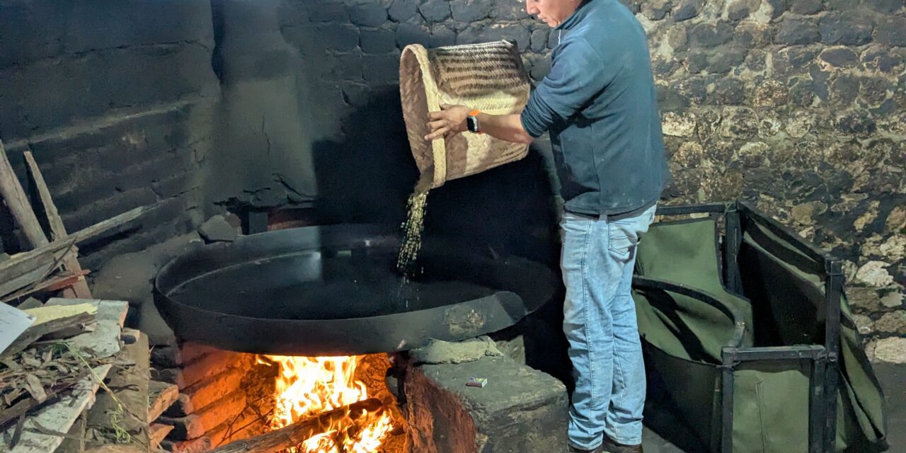 Máchica: ¿El próximo superalimento andino?