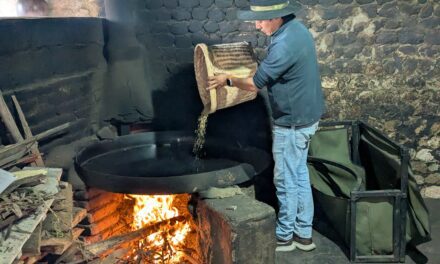 Máchica: ¿El próximo superalimento andino?