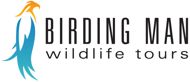 Birding Man Logo
