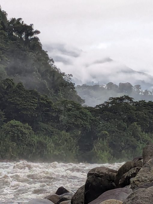 Un río espumoso bordeado de rocas con vistas a los bosques neblinosos de los Andes.