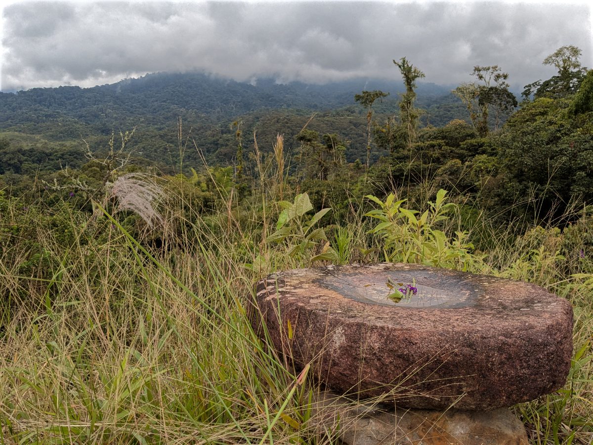 Cuenca de Piedra en la Reserva Wayra Pila de piedra con ramitas de verbena púrpura, con vistas a los Andes Orientales bajo un cielo nublado.