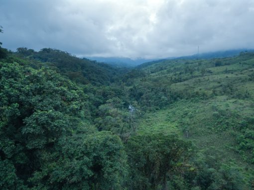 Vista desde Tarabita | ©Angela Drake Mirando hacia abajo en la Reserva de Wayra hacia el bosque primario a la izquierda y los pastos denudados para el ganado a la derecha.