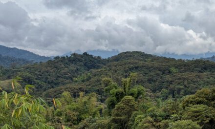 Reserva Wayra: Rewilding cerca de la Sierra de Guacamayos