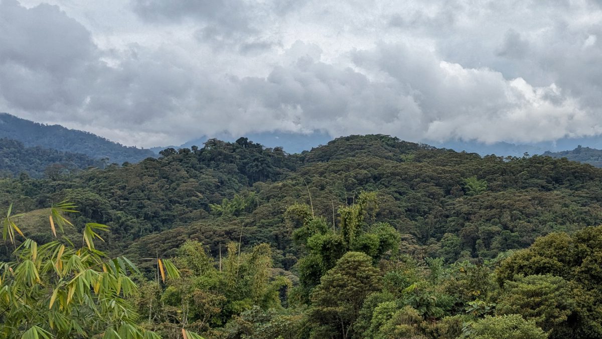 Reserva Wayra: Rewilding cerca de la Sierra de Guacamayos