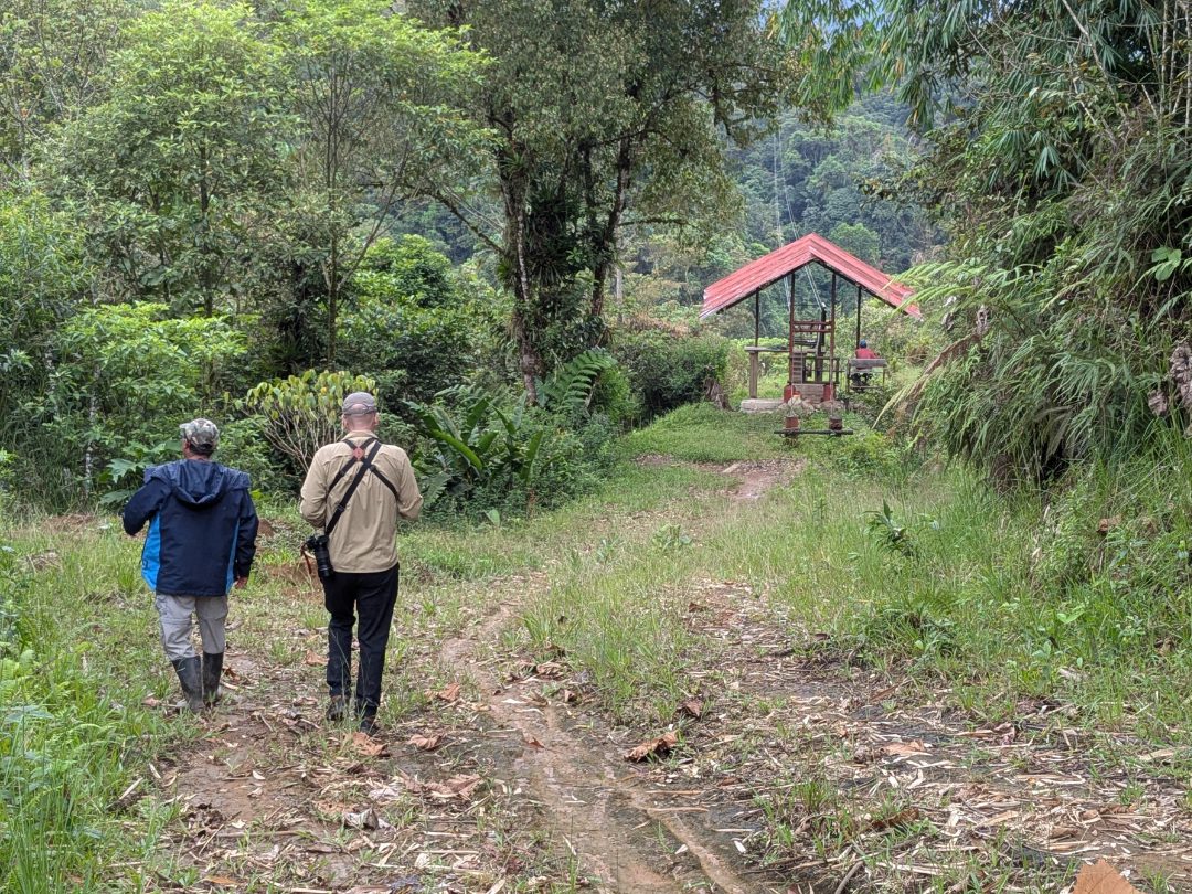 Caminando hacia la Tarabita José y Scott caminan hacia el teleférico que cruza el valle del río.