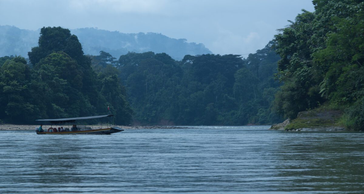 Ama EcoLodge Offers Easy Access to Ecuador’s Amazon
