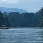 Descubre la Amazonia Ecuatoriana desde Ama EcoLodge