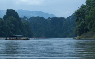 Descubre la Amazonia Ecuatoriana desde Ama EcoLodge