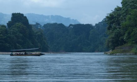 Descubre la Amazonia Ecuatoriana desde Ama EcoLodge