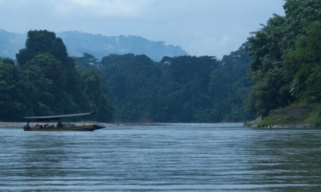Descubre la Amazonia Ecuatoriana desde Ama EcoLodge