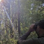 Probando los binoculares inteligentes Swarovski AX Visio en la naturaleza.