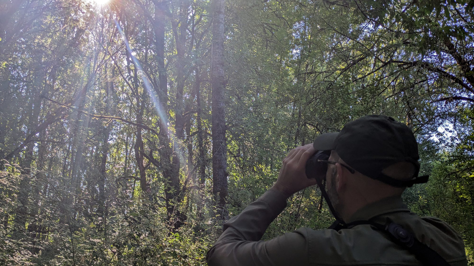 Probando los binoculares inteligentes Swarovski AX Visio en la naturaleza.