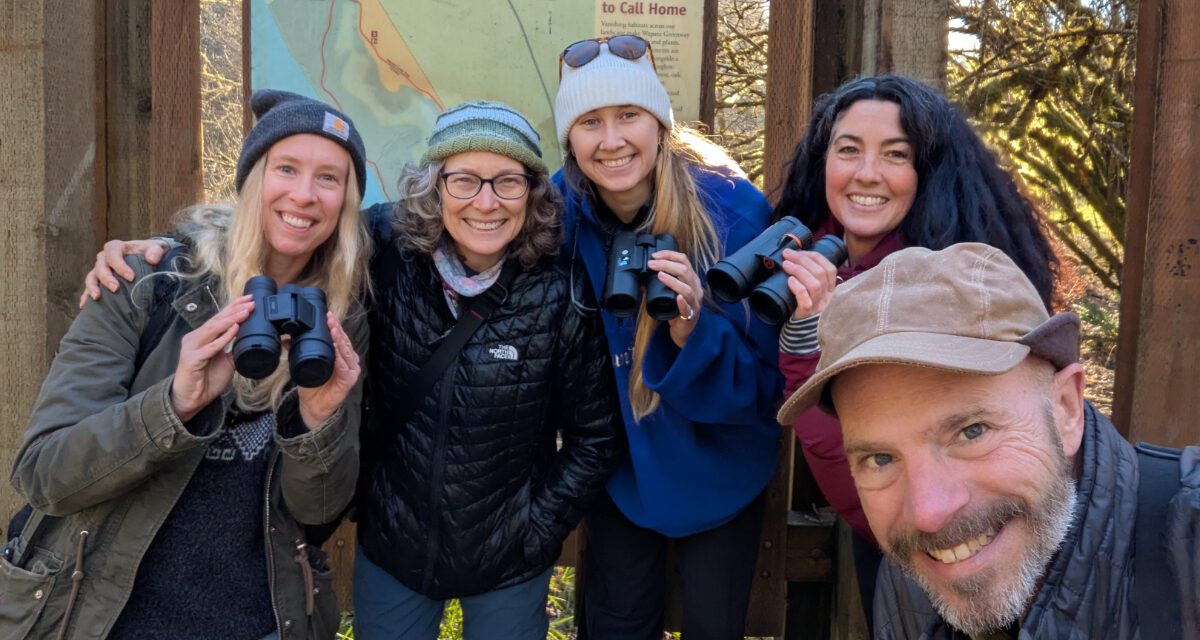 Our Basic Birdwatching Kit: For Beginners and Beyond