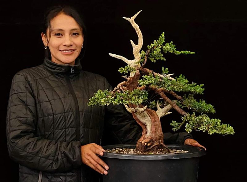 Mayra Andrango con un ejemplo de su arte bonsái.