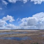 A Beginner’s Guide to the Harney County Migratory Bird Festival